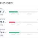에소코핏화성 이미지