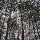 닥터밸리의원 이미지