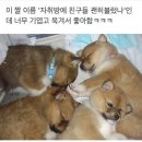 하늘숲한의원 네이버블로그