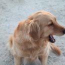 공차강릉
