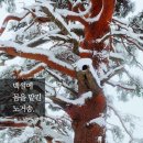 삼라