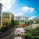 와이하우스 이미지