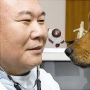 윤신근박사동물병원 이미지