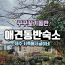 서쪽에서(귤이네) 이미지