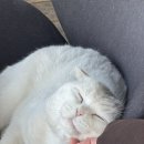 금능반지하 | [제주 금능 술집] 금능 반지하