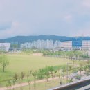 임팩트짐 이미지