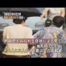일본의 올 여름 열사병 사망자, 475명에 달해 - 로컬가이드 이미지