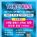 TH용인대유도체육관 네이버블로그