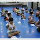 용인대 한얼 태권도 이미지