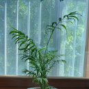 이레카써비스 이미지