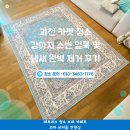 지식인력개발형태 | 과천 카펫 청소 강아지 털부터 소변 악취까지 한 번에 해결 과천린파밀리에아파트