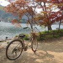 다온펜션1 이미지