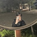 미건렙타일