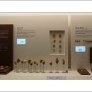 롯데월드민속박물관 이미지