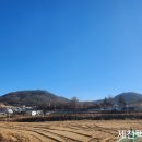 남부생활체육공원 족구장 이미지