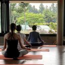 웰니스9 이미지