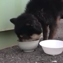 김영복농장 이미지