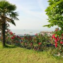 지중해펜션 이미지