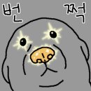 고모네칼국수 - 원주시 세동길 10 | 고모네칼국수