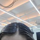 아이엘헤어 | 부천 상동 미용실 아이엘헤어에서의 뿌리매직 후기