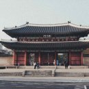 영덕특산물 이미지