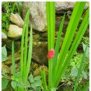 신리농장 이미지