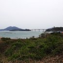 장보고공원 Daum카페