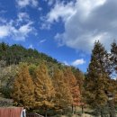 고봉민김밥인 기장점 이미지