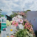 자이언트대전 티스토리