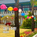 [공지] 도심 속 사찰 수원 봉녕사 부처님 오신 날 튤립 풍경