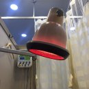 도제한의원 이미지