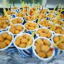 다온태권도 이미지