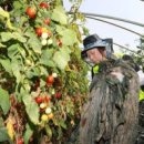 주식회사 직거래장터 이미지
