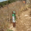 천성산 산행사진 및 뒤늦은 후기(11) 이미지