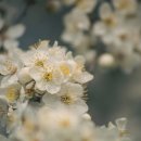 아이원 골프클럽 이미지