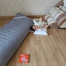 양지로3L 이미지