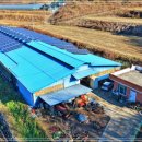 성중목장 | ❇️6억9천/경상남도 하동군 횡천면 전대리 매물번호 2025-40/하동부동산/하동축사