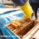(주)한국양봉산업