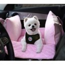 원더플독 이미지