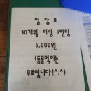 윤호농장 | 춘천 아이와 가볼만한곳 추천,춘천 동물원 동물체험 &#34;타조농장&#34;무제한 먹이주기