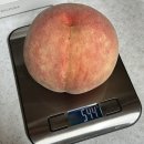9월 2~3주차 복숭아 결산 : 꽃밭머리농원 황귀비, 용연농산물 서왕모, 도향원 신화도, 반도원 양홍장