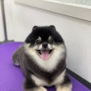 라미살롱 이미지