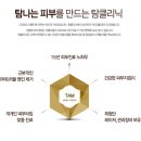 그린셀 이미지