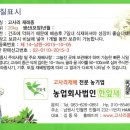 한잎새
