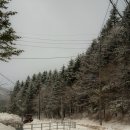 부자목장2 | 대관령 양떼목장 실버벨교회 월정사