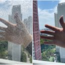 412 | 호환 스타일러스 터치펜(모델명: RRT-412) - 사용 후기 <대전에버홈케어 / 대전, 세종, 청주, 천안 전...