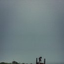 첼로라이브