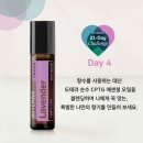 그린라이프스타일 네이버블로그
