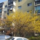 주공아파트 이미지