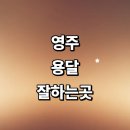39 | 영주시 근처 화물용달 잘하는곳 추천 전문업체 용달이사 견적 소형 퀵서비스 후기 라보용달 가격 렌트 침대